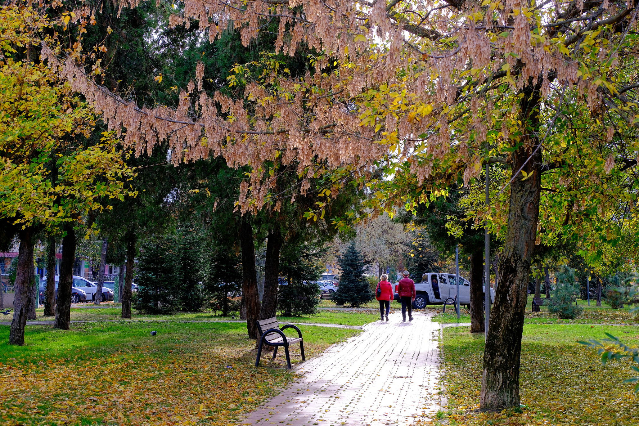 Többnyire 13-15 fok körüli maximumok várhatók a következő két hétben