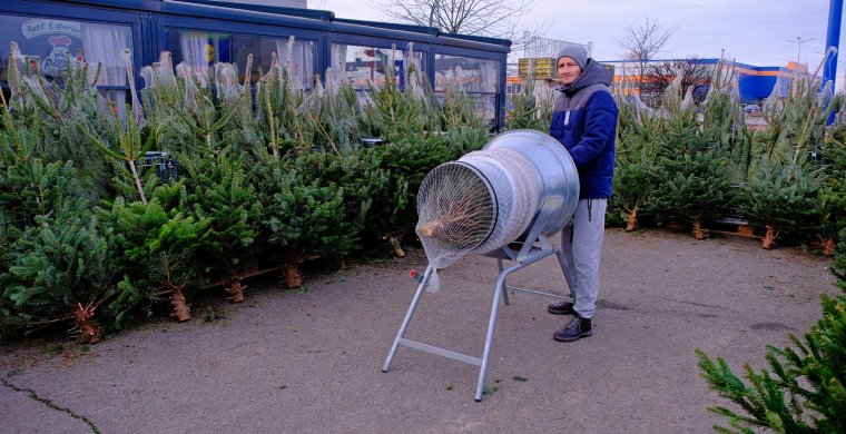 Az árusok felkészültek az ünnepekre: nagy a karácsonyi fenyőválaszték