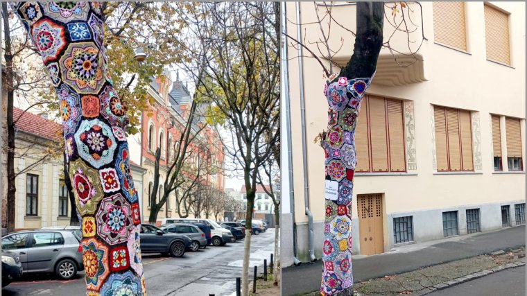 Színes „ruhát” kapott egy fa Nagyvárad központjában
