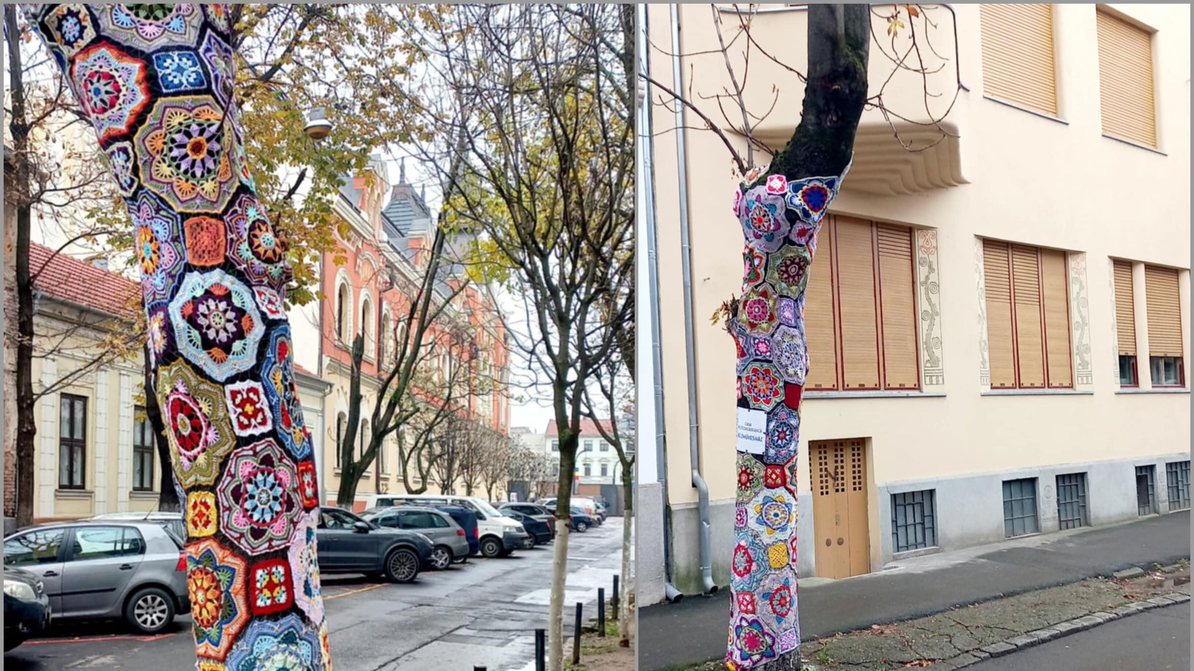 Színes „ruhát” kapott egy fa Nagyvárad központjában