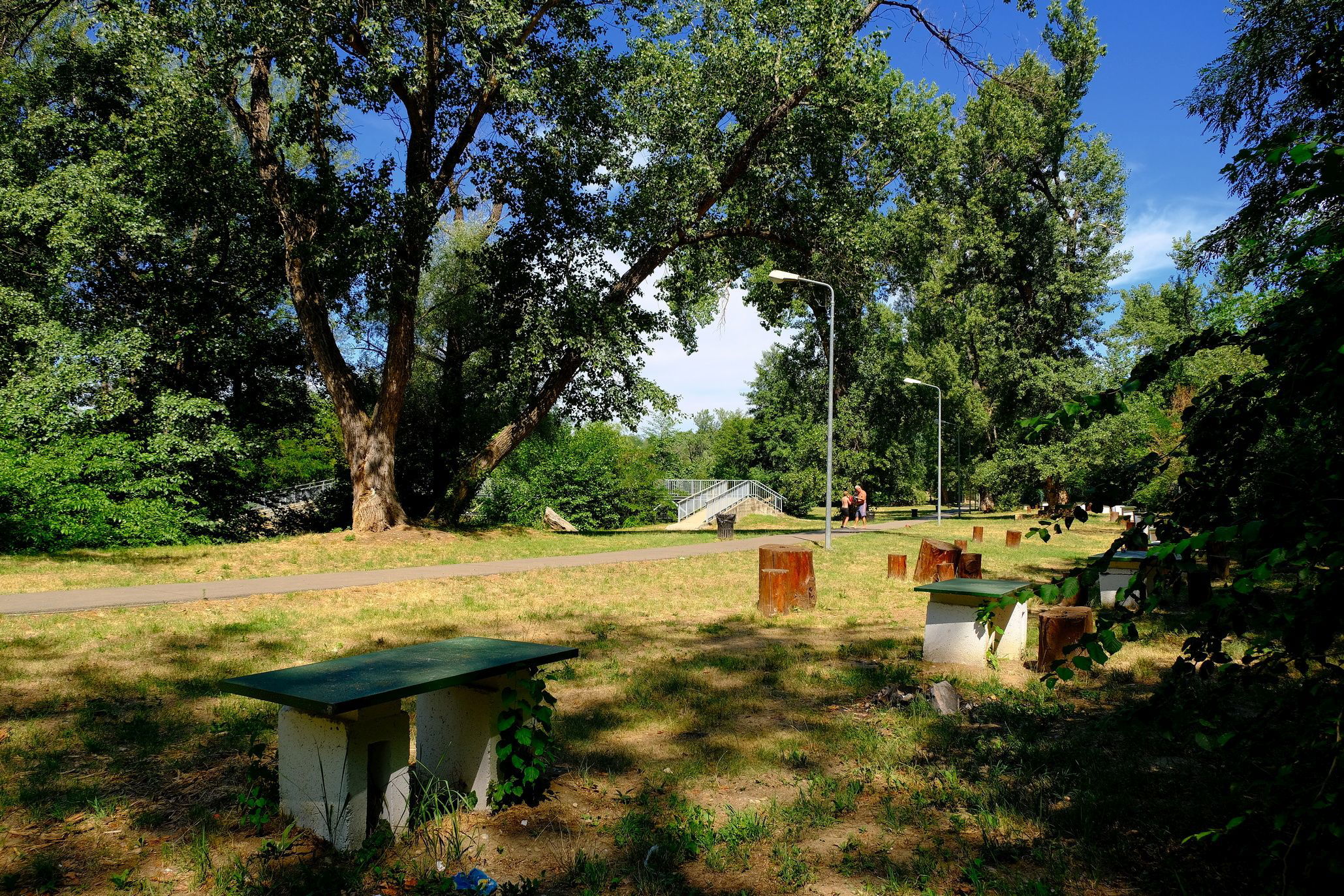 Nagyvárad: közvitára bocsátották a piknikezőhelyekre vonatkozó új szabályokat