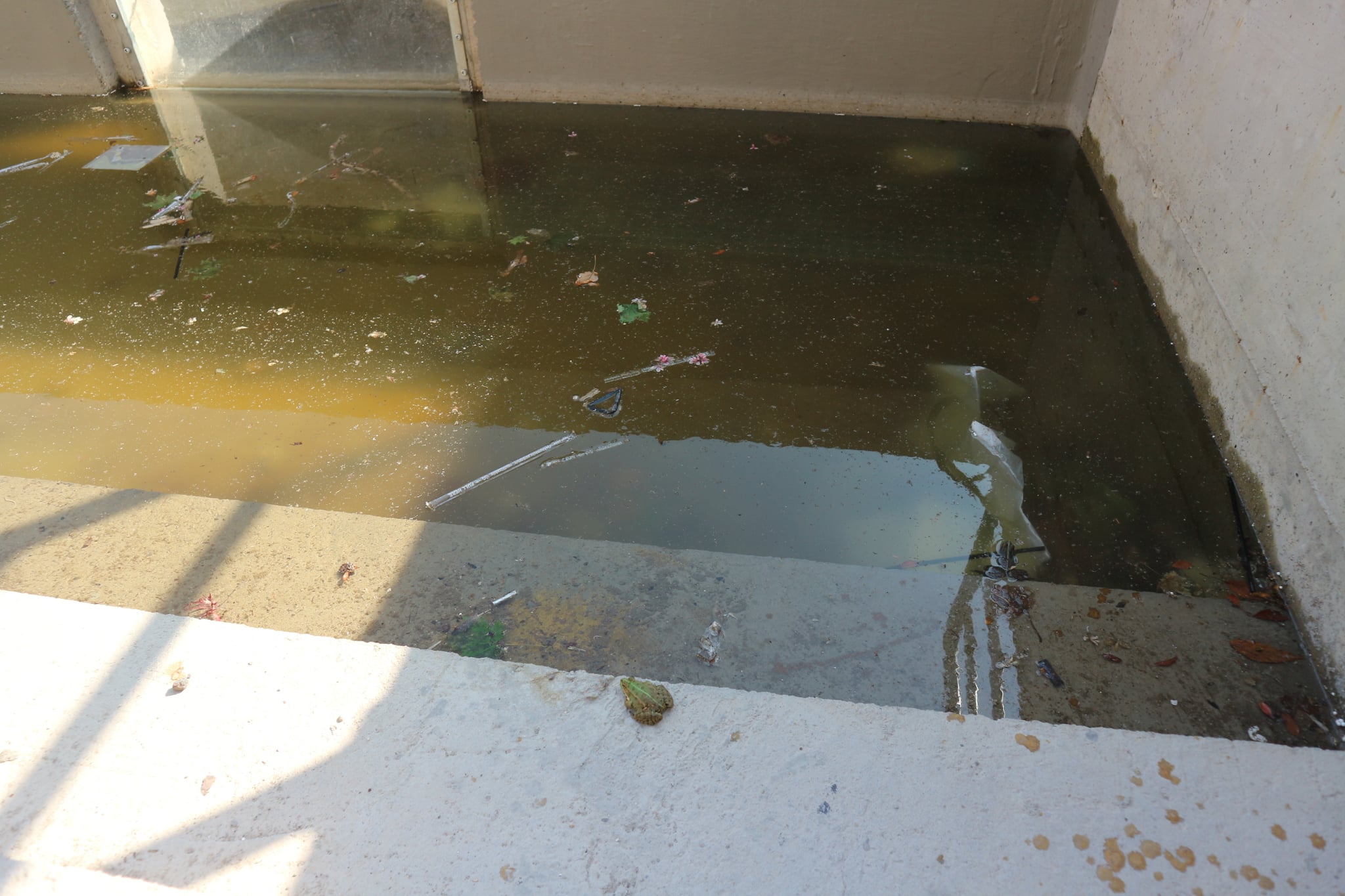 Hallépcső és békaúsztató