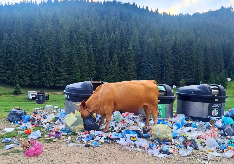 Beborítja a szemét a Glavoj-rétet