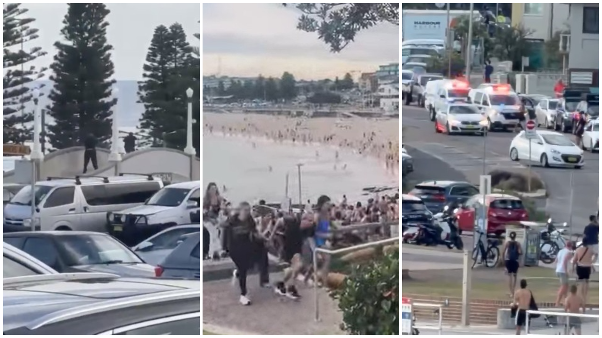 Fegyveres lövöldözés történt Sydney egyik közkedvelt strandján, legalább tizenkét személy életét vesztette