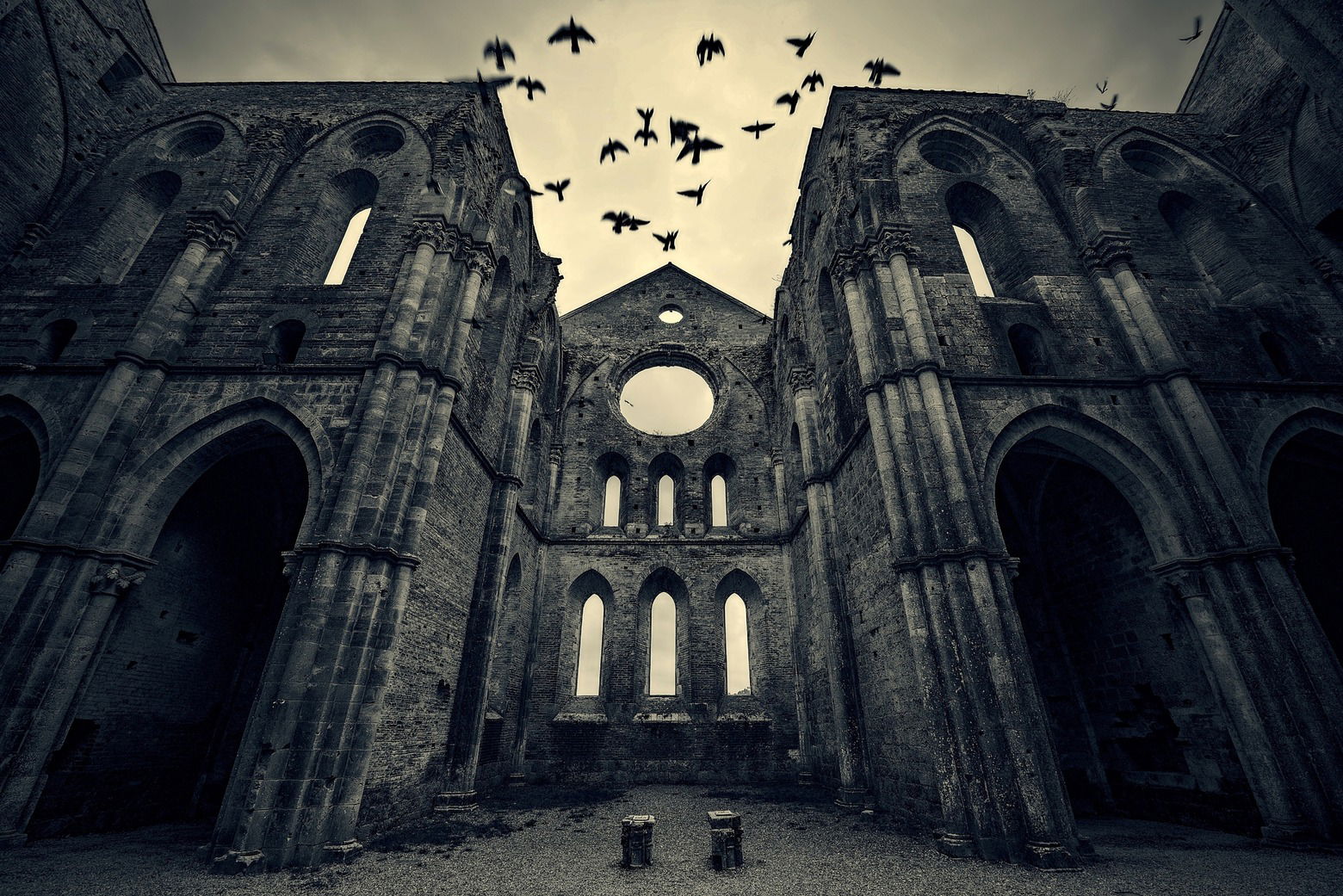 Révkomáromi fotóművészek alkotásaiból nyílik kiállítás Nagyváradon