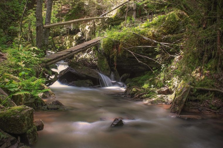 Nagyváradon is megünneplik a magyar fotográfia napját