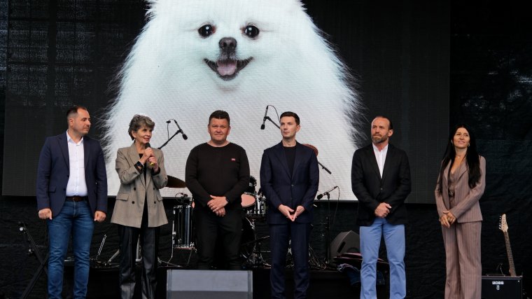 One Big Jump: Világrekord-kísérletre készülnek a kutyás fesztiválon