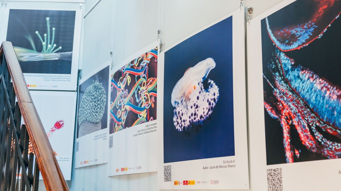 Tudomány és művészet találkozik a városháza tornyában megnyitott kiállításon