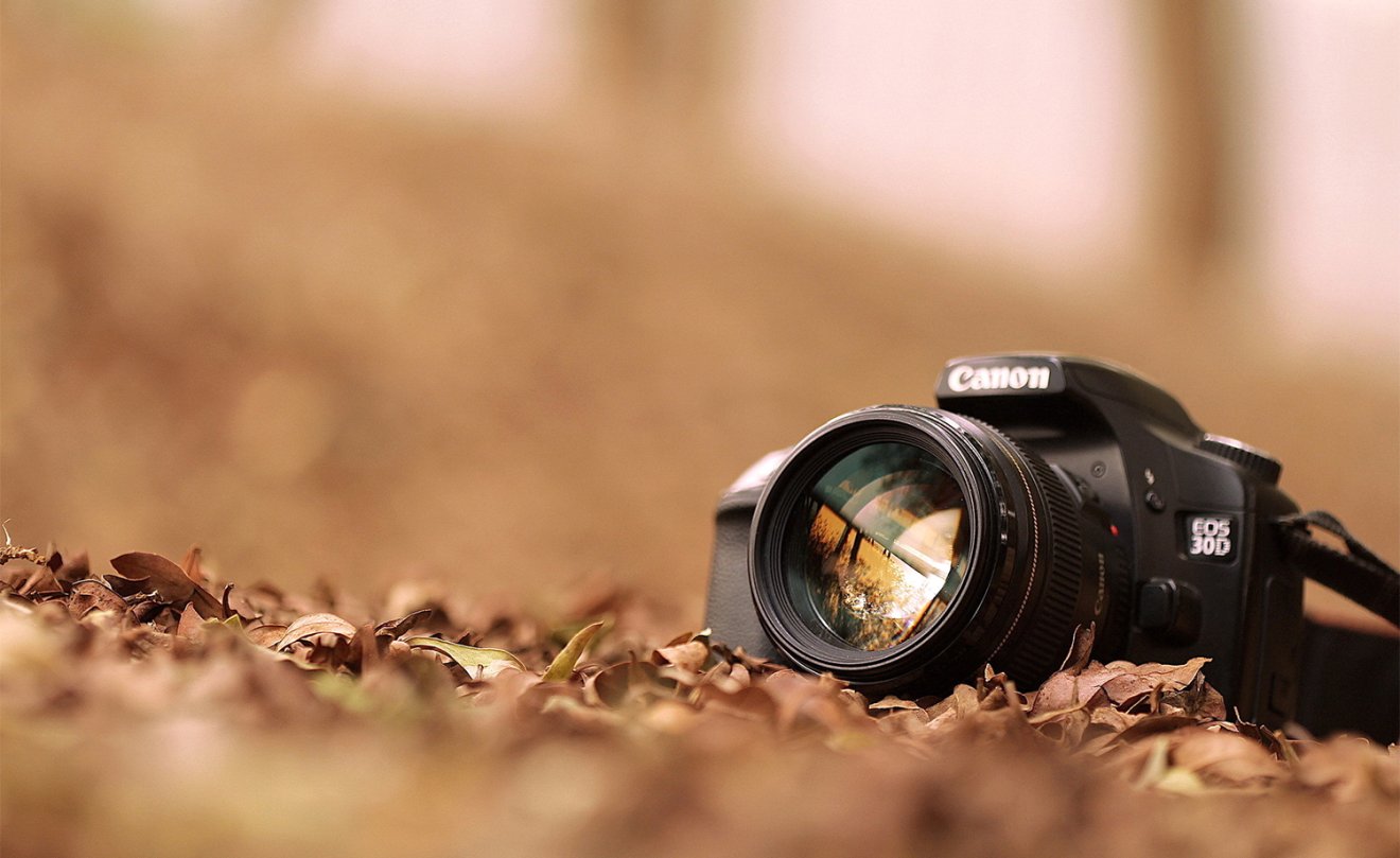 Mezőgazdasági témájú fotópályázatot hirdettek