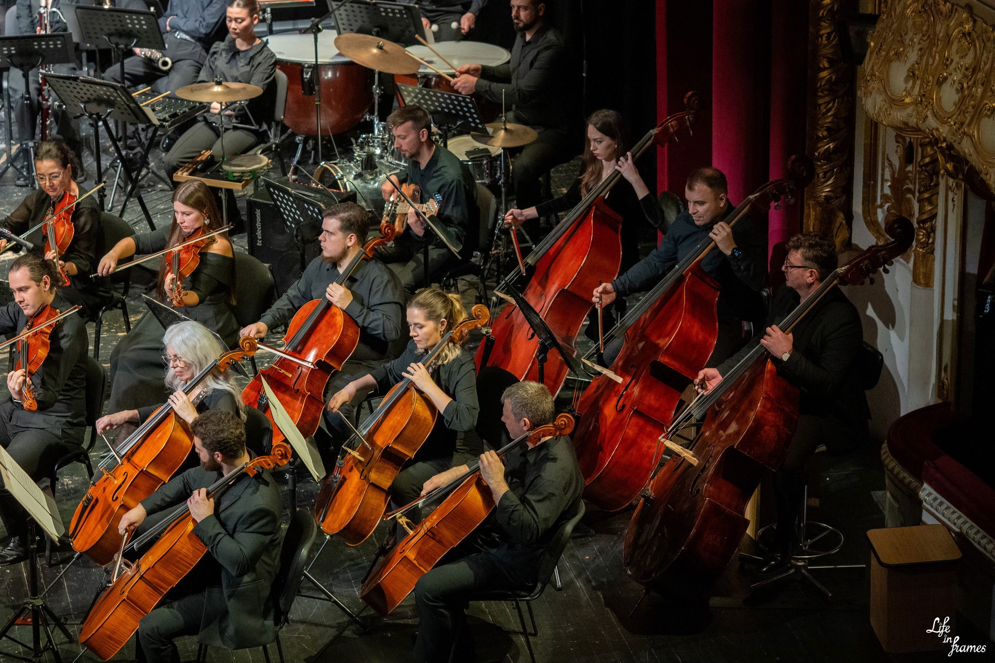 A lélek húrjai a filharmóniában   