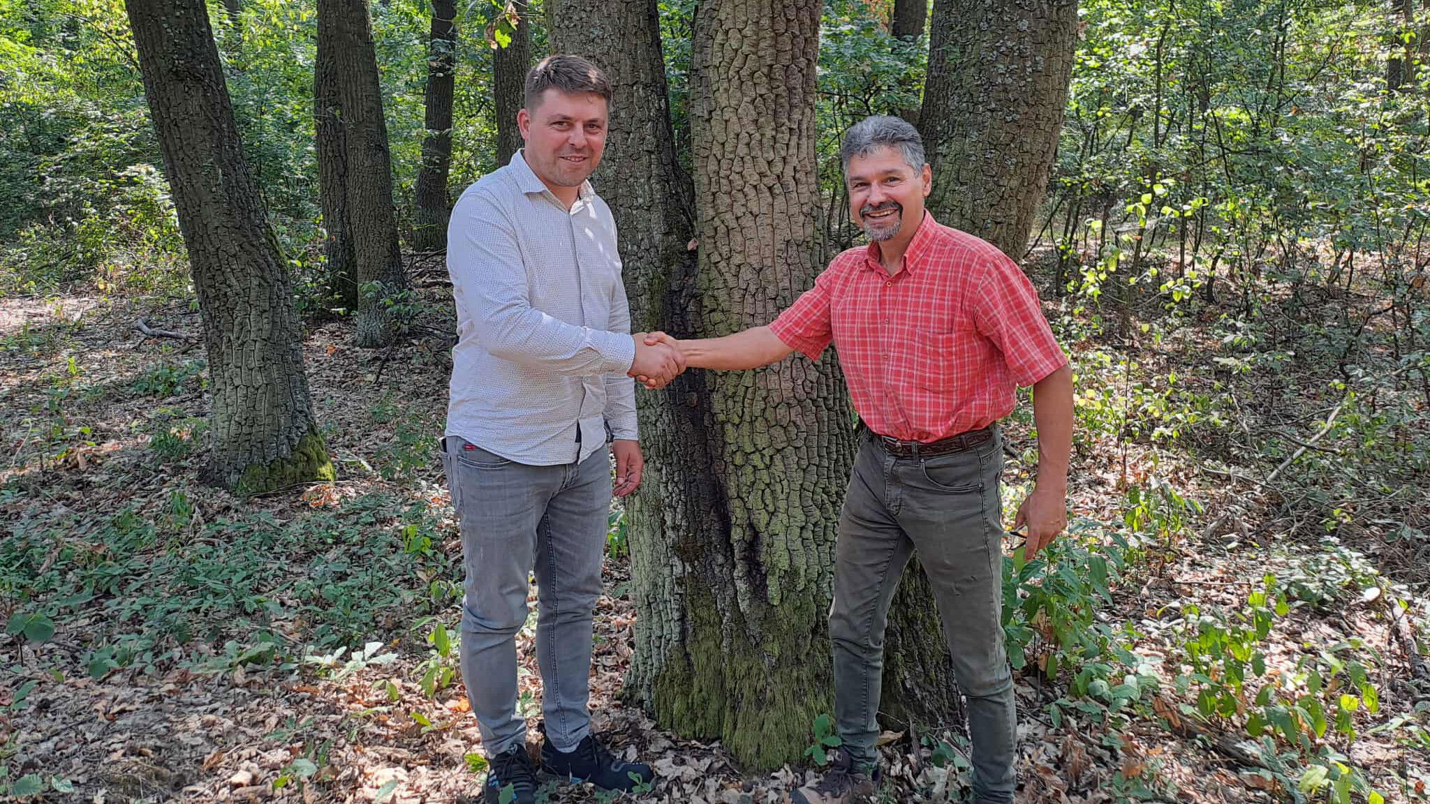 Idén Szentjobbon fog muzsikálni az erdő