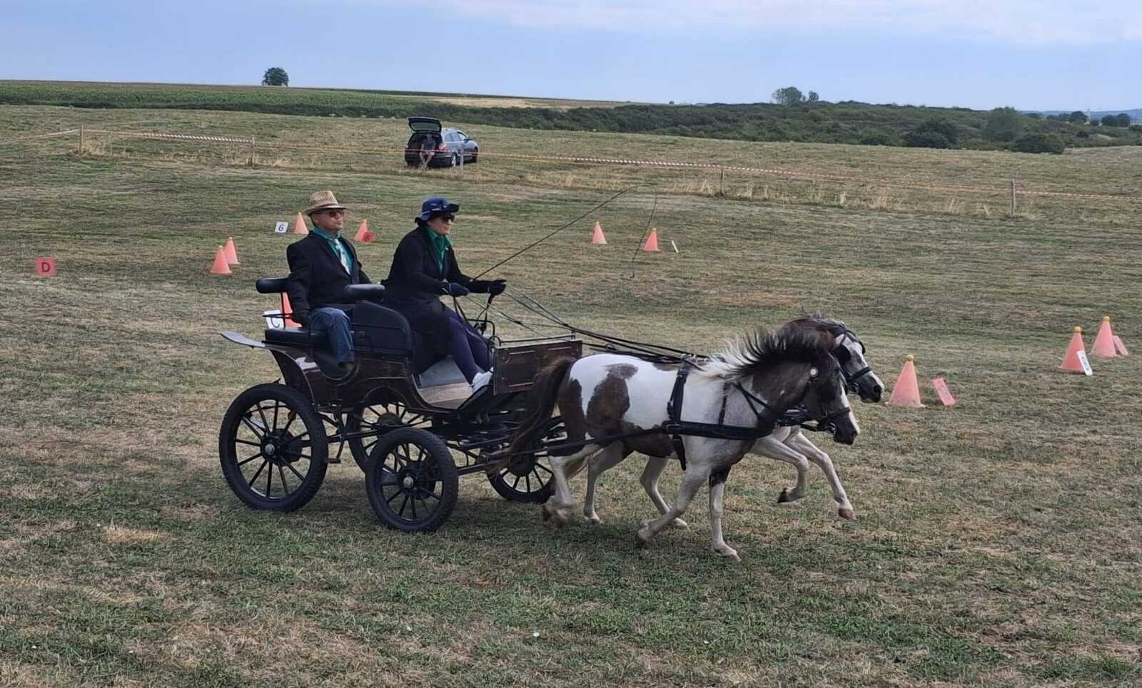 Ismét a fogatoké volt a főszerep Hegyközcsatárban | VIDEÓ