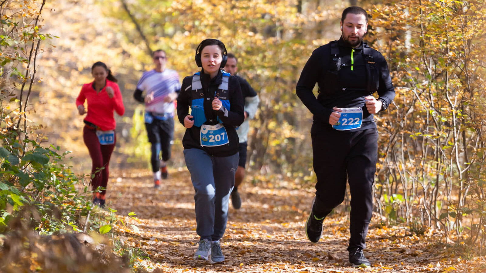 Bajnokok nyomában, erdei ösvényeken