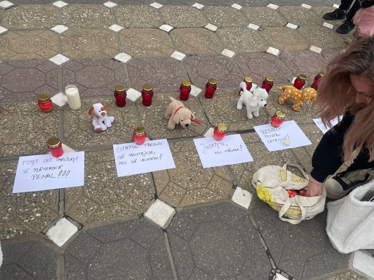 Suraiai ügy | Több ezer állatvédő és állatbarát vonult utcára, konkrét fellépést követeltek | VIDEÓ!