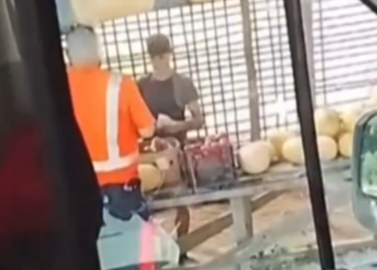 Dinnyét vett útközben a mentős, miközben egy lázas kislányt vitt kórházba – vizsgálat indult
