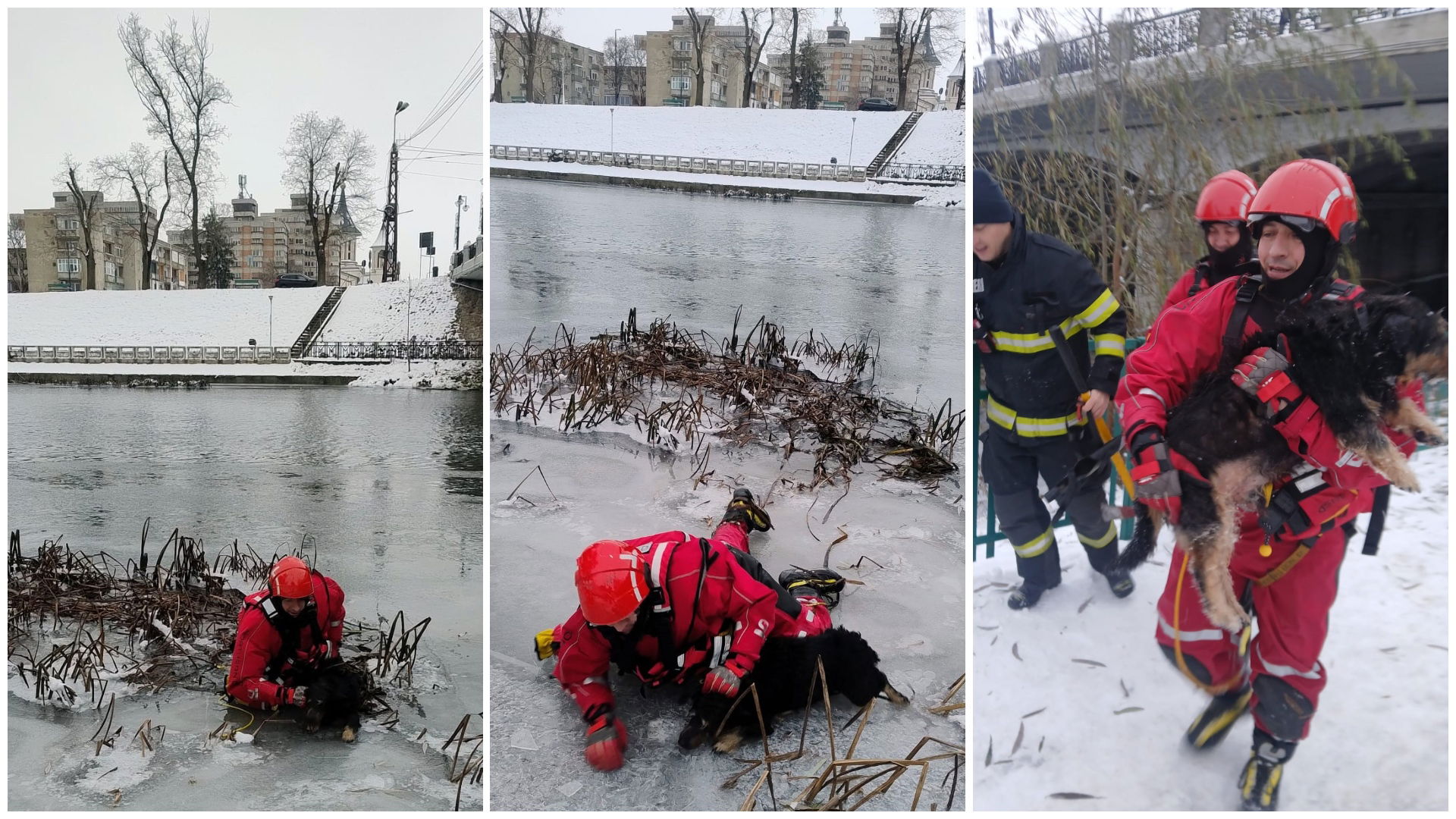 A jeges Körösből mentettek ki egy kutyát a nagyváradi tűzoltók