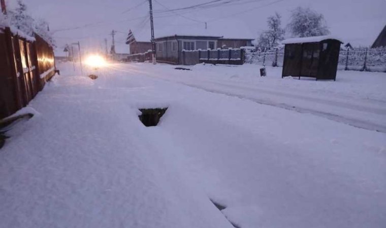 Frissítve│Több ezren maradtak áram nélkül országszerte a havazás miatt, Bihar megyében több fa is kidőlt