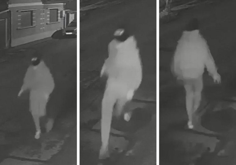 Sarlóval támadott meg egy idős férfit egy 19 éves nagyszalontai fiatal | VIDEÓ