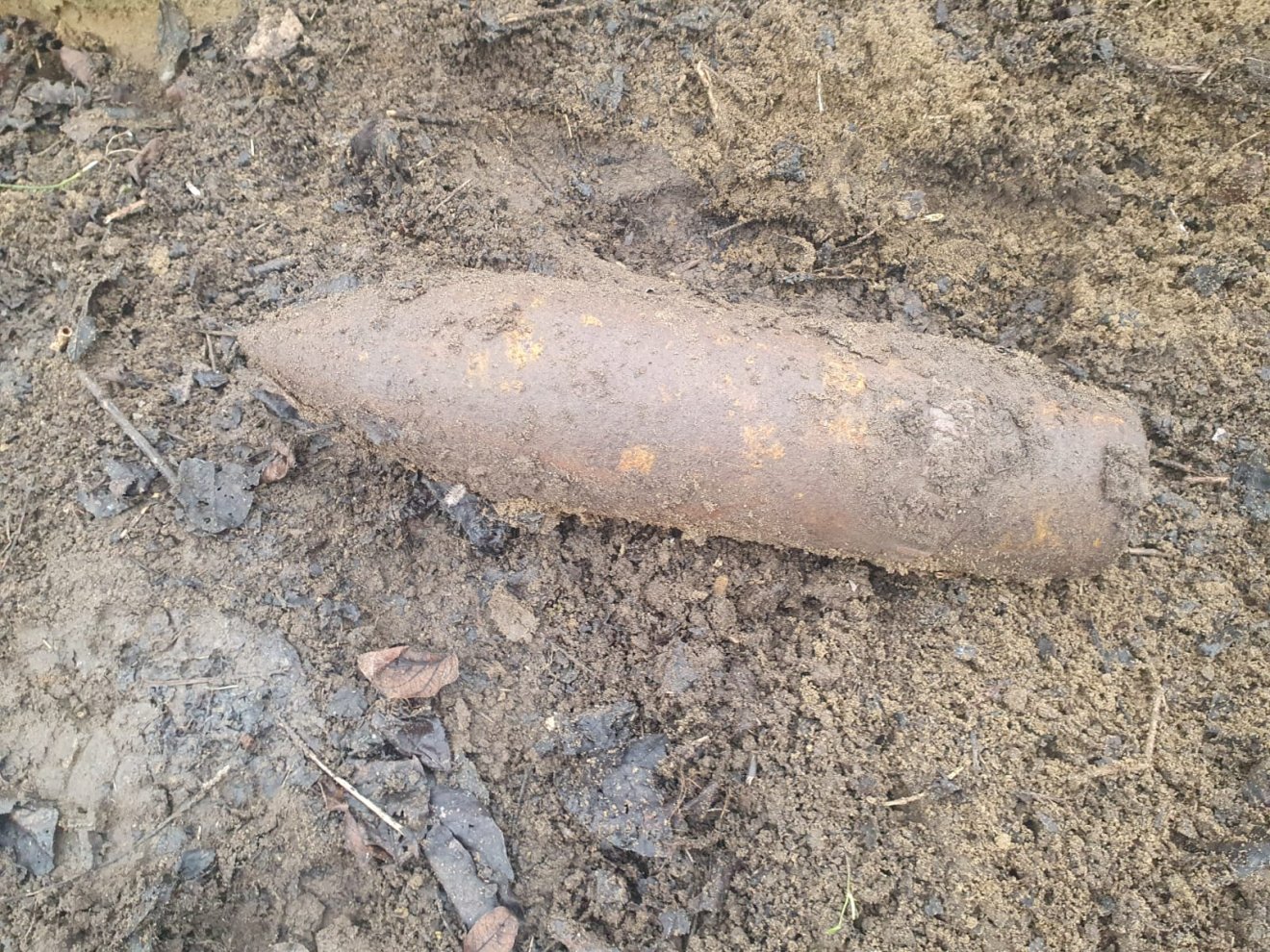 Éles lőszer került elő egy sitervölgyi lakos udvarából