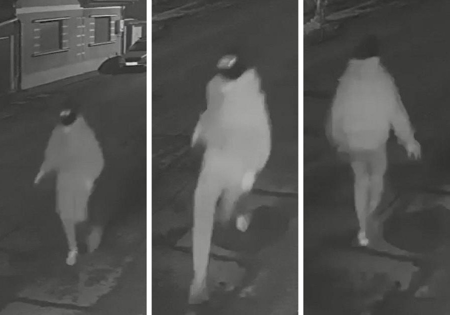 Sarlóval támadott meg egy idős férfit egy 19 éves nagyszalontai fiatal | VIDEÓ