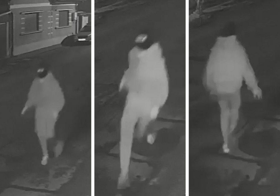 Sarlóval támadott meg egy idős férfit egy 19 éves nagyszalontai fiatal | VIDEÓ