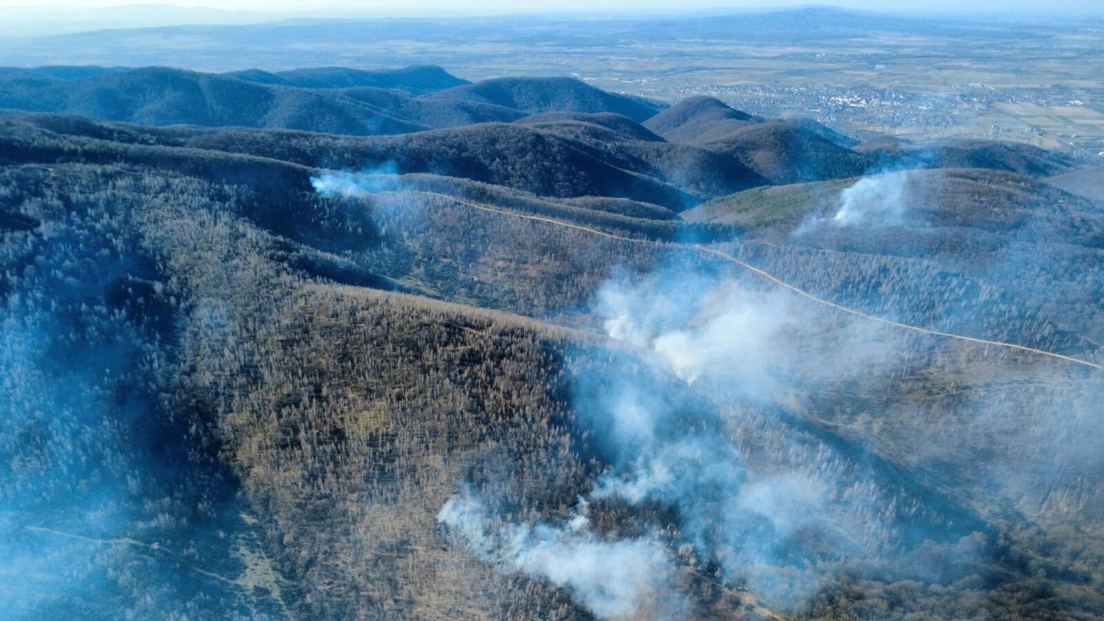Mintegy 150 hektáron ég a növényzet a szomszédos megyében | VIDEÓ