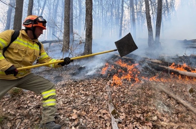 Tarlótüzek pusztítottak Bihar megyében: több épület és erdő került veszélybe | VIDEÓ