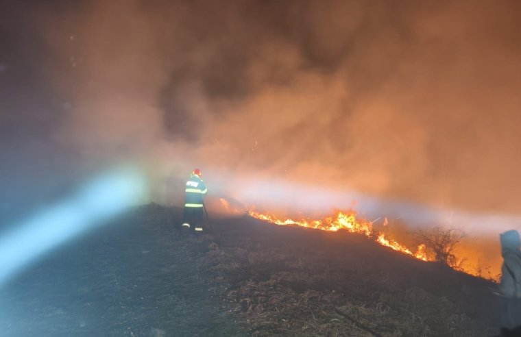Tucatnyi tűzesethez riasztották a Bihar megyei tűzoltókat, a biharrósai napelempark is veszélybe került