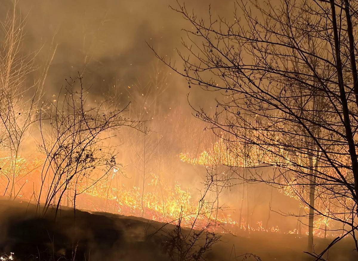 Lángokban az Aló-völgy: hétvégi házakat mentettek meg a tűzoltók│VIDEÓ
