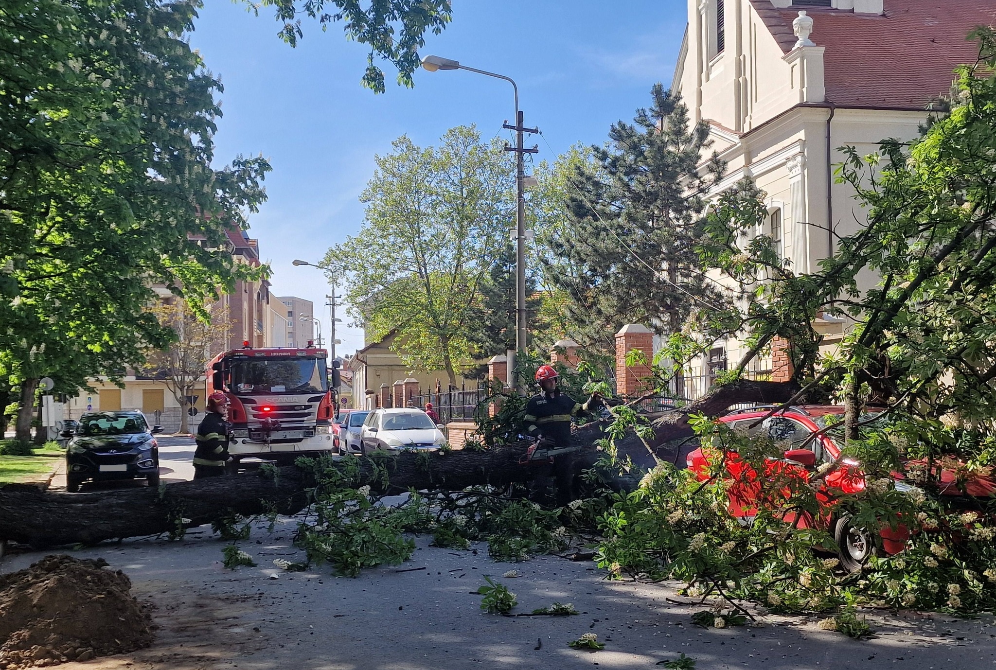 Az úttestre dőlt egy fa az Ezredévi emléktéren│VIDEÓ