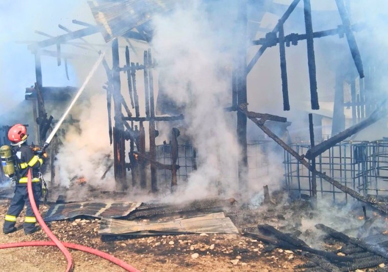 Tizenöt kecskegida pusztult el egy istállótűzben Élesden