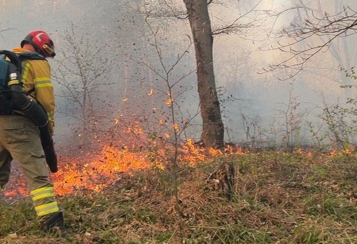 Negyven hektárt perzseltek fel a tüzek Bihar megyében | VIDEÓ