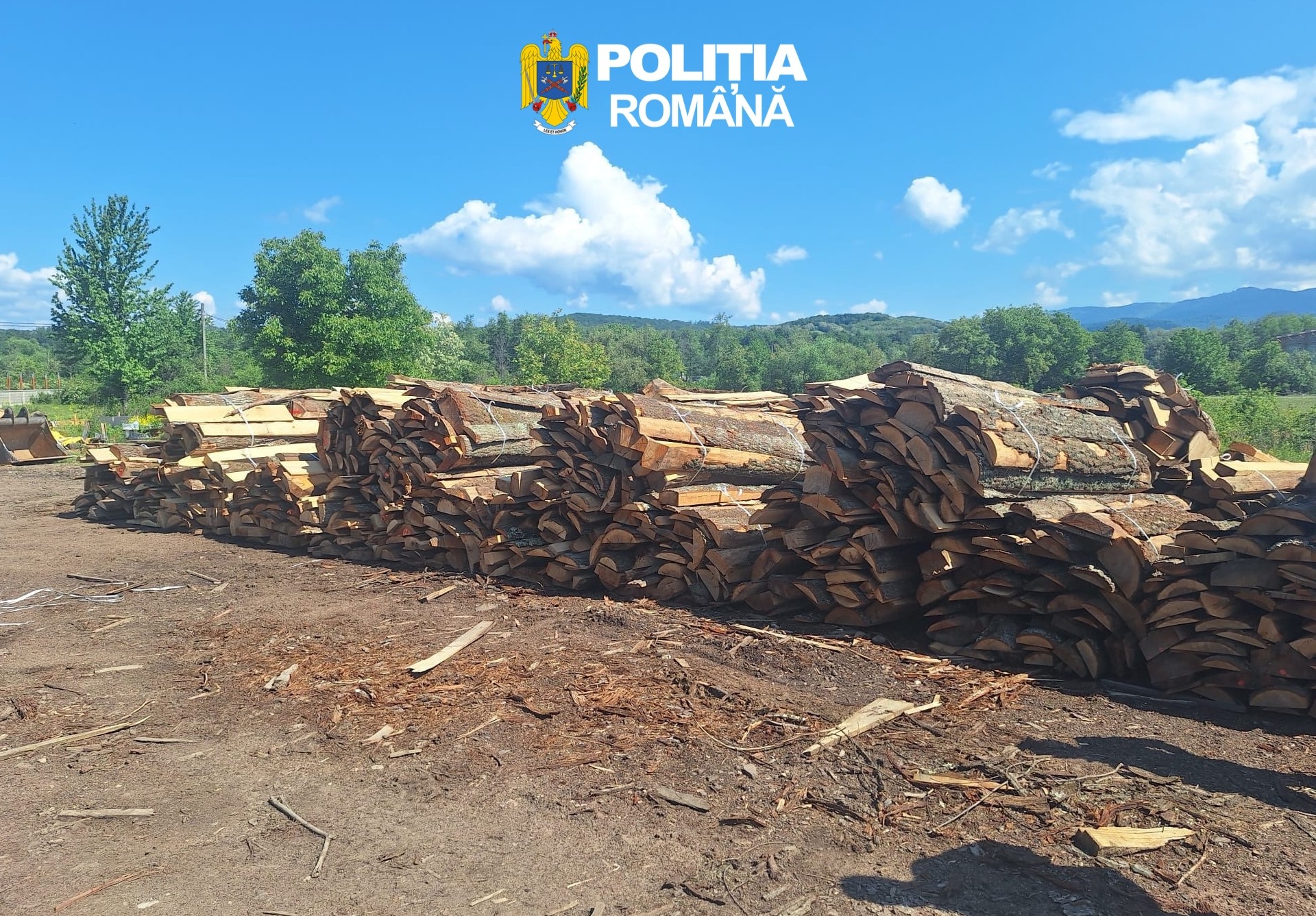 Súlyos szabálytalanságokat tártak fel Bihar megyében: több mint 340 köbméter illegális faanyagot foglaltak le