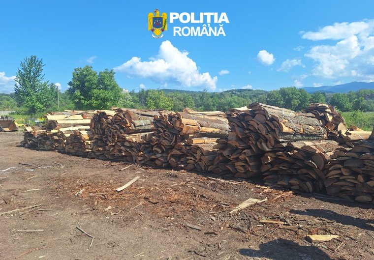 Súlyos szabálytalanságokat tártak fel Bihar megyében: több mint 340 köbméter illegális faanyagot foglaltak le