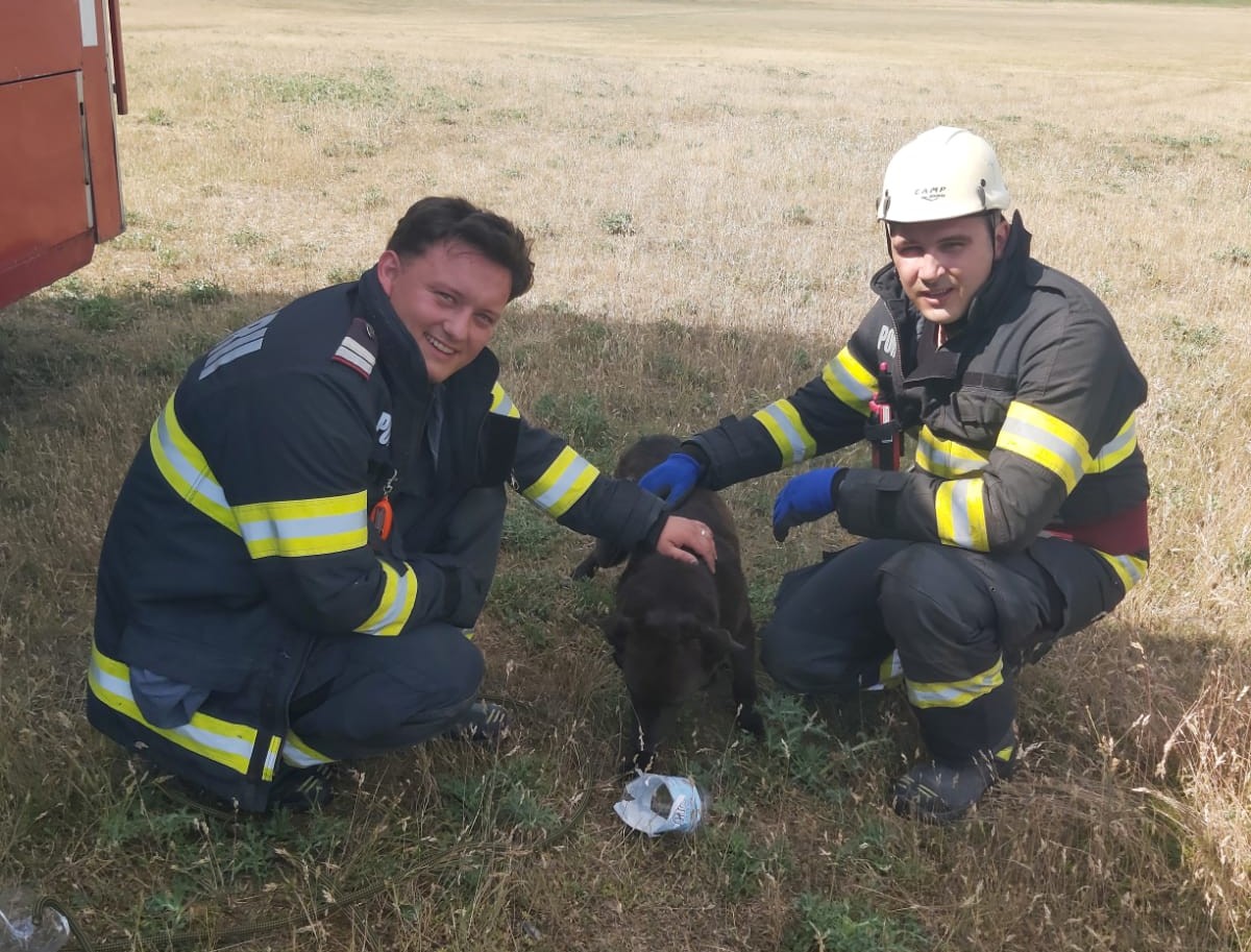 Kútból mentettek ki egy kutyát a nagyszalontai tűzoltók