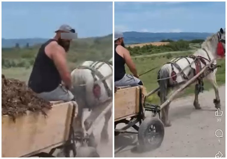 Állatkínzás miatt vettek őrizetbe egy esküllői férfit