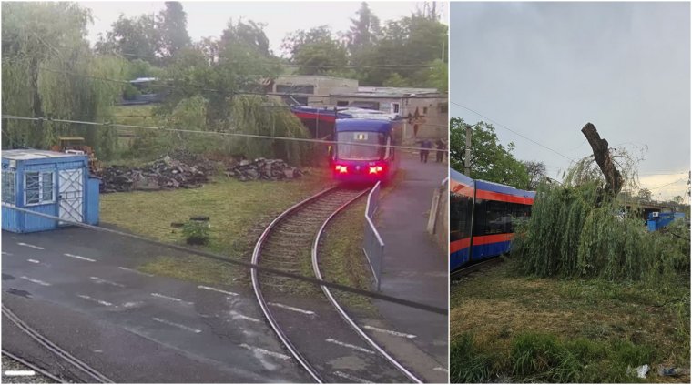 Vihar Váradon: letört ág miatt szünetelt a villamosközlekedés a város egy részén