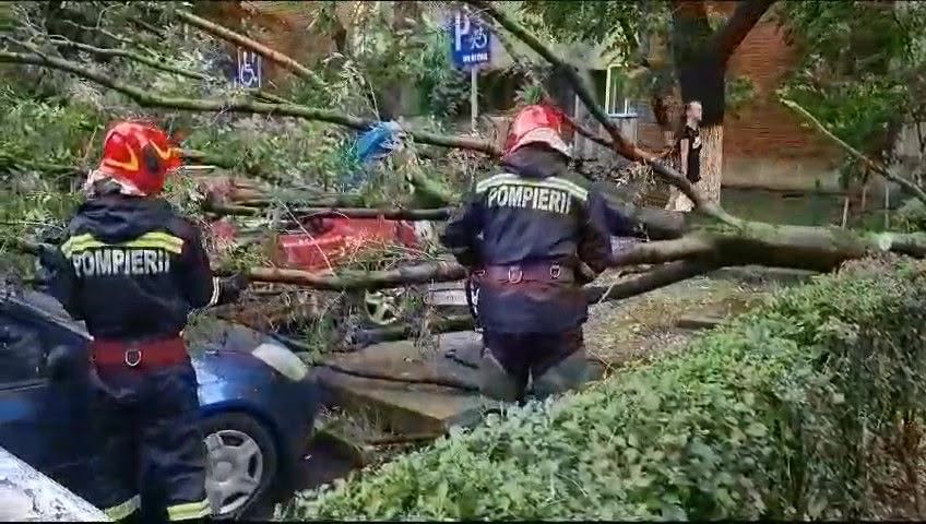 Letört ágakat, úttestre dőlt fákat hagyott maga után a kedd esti vihar Bihar megyében