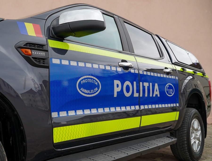 Előre kitervelhette a kutya megölését, őrizetbe vették a 77 éves Bihar megyei férfit