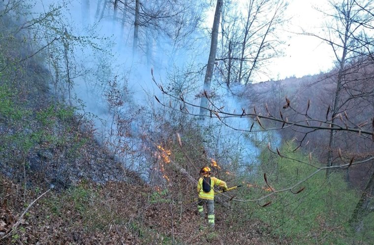 Tárkánykán ismét lángra kapott az erdő, megyeszerte sorra csapnak fel a tüzek