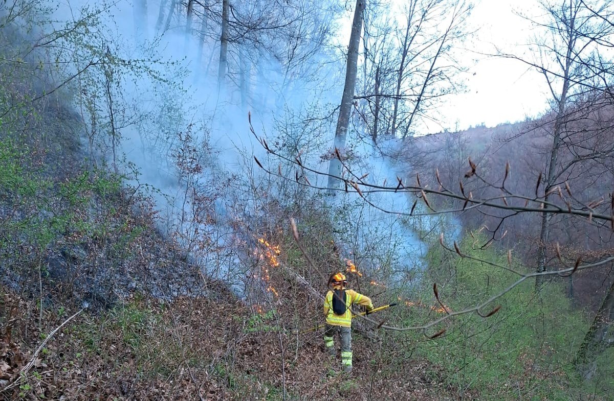 Tárkánykán ismét lángra kapott az erdő, megyeszerte sorra csapnak fel a tüzek