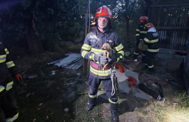 Kútba esett kiskutyát mentettek meg a tűzoltók Szentlázáron