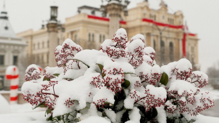 Rendkívüli fagyos éjszaka várható Bihar megyében