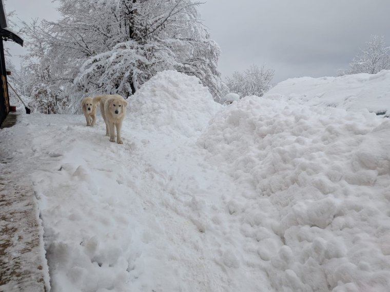 Havazásra figyelmeztető riasztásokat adtak ki a meteorológusok, az ország jelentős része érintett