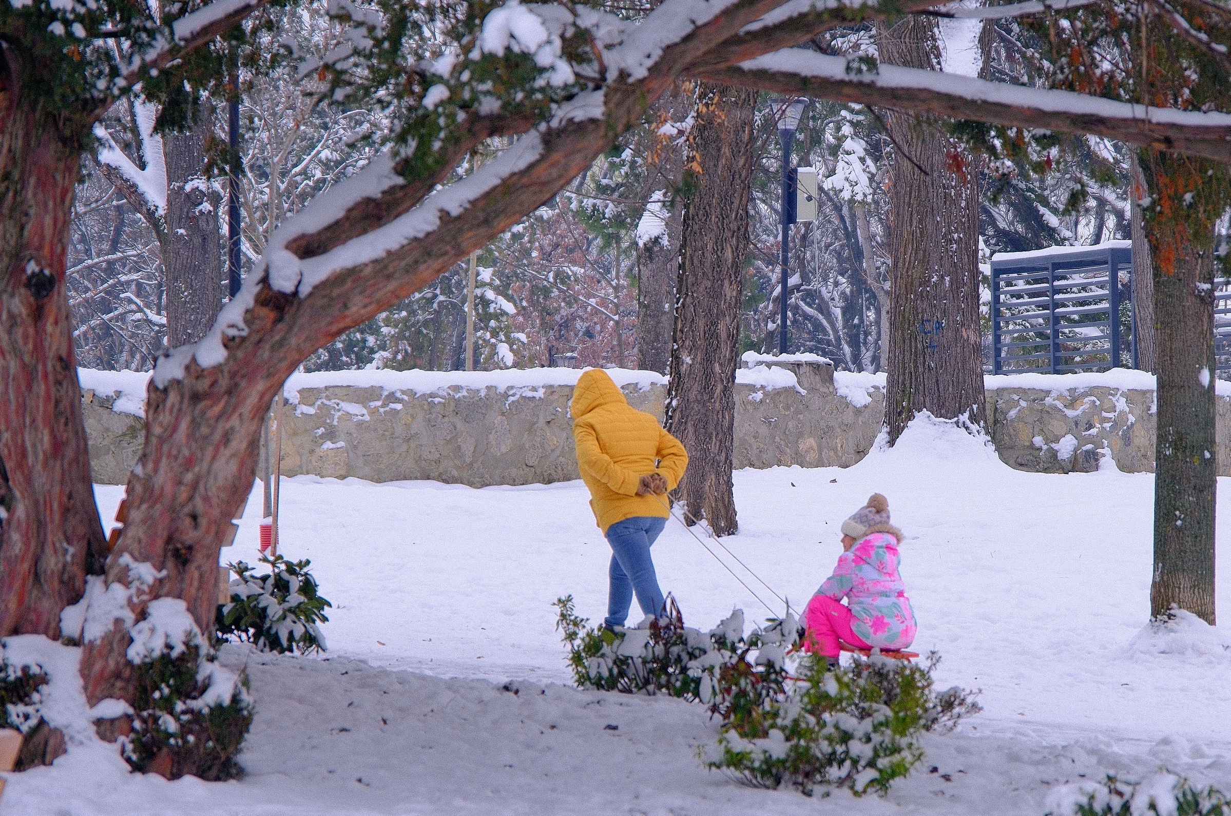 Az igazi tél a szánkózás örömét is visszahozta Nagyváradra