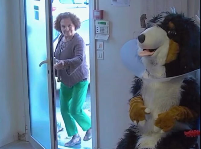 Egy állatorvosi rendelőben a munka komoly, de néha a humorérzék is elengedhetetlen