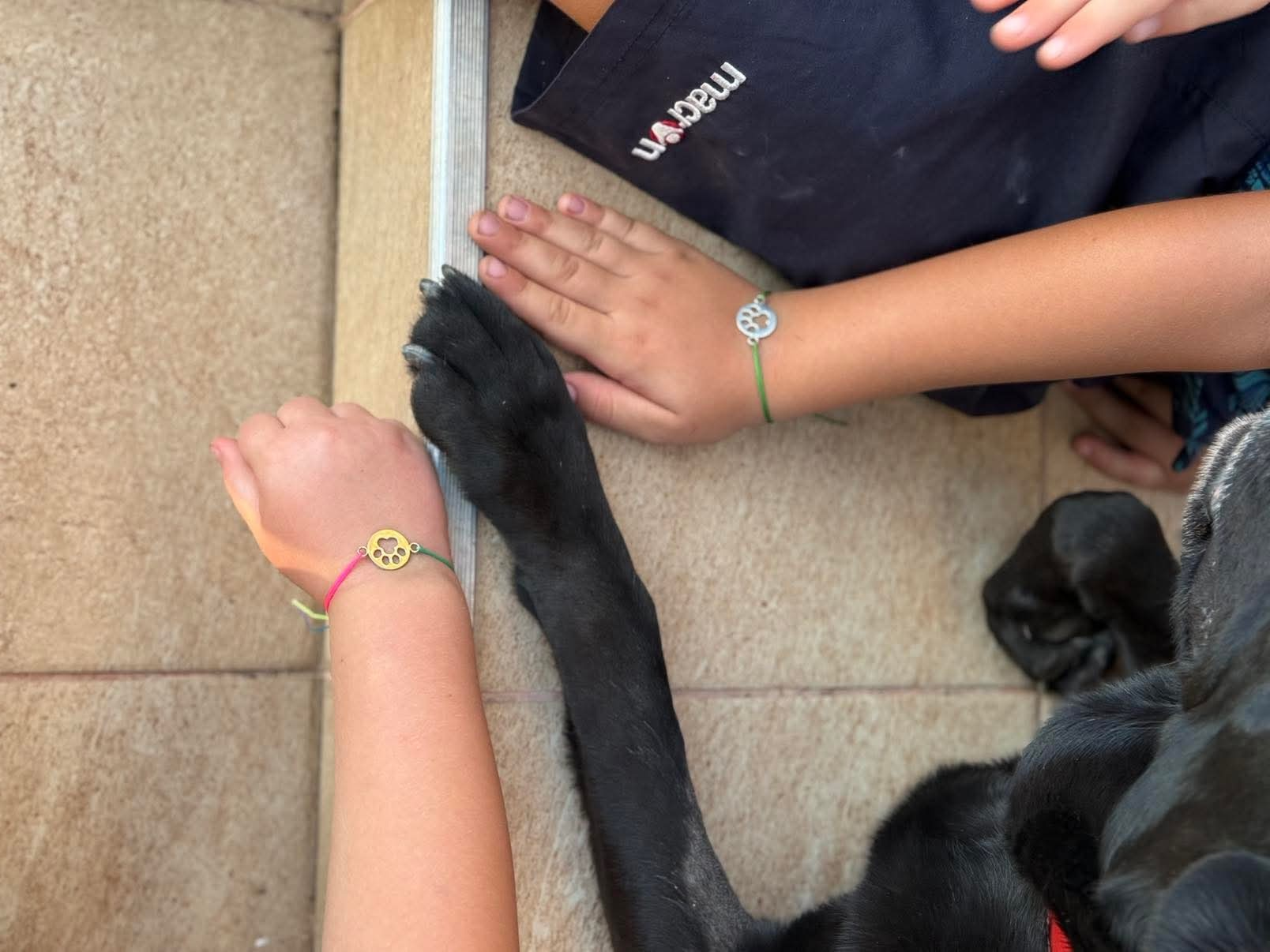 Érzelmi terápiás program indult fogyatékossággal élő gyerekek számára