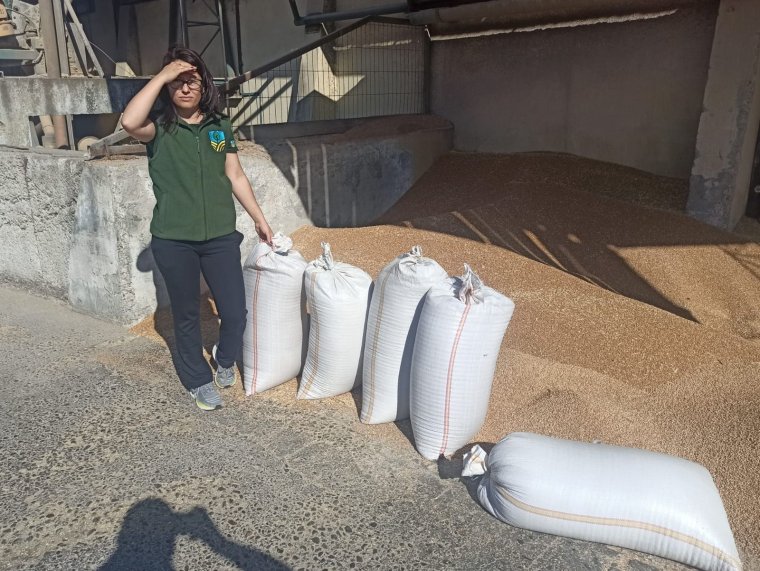 Vízhiány sújtja Szalonta és vidéke agráriumát