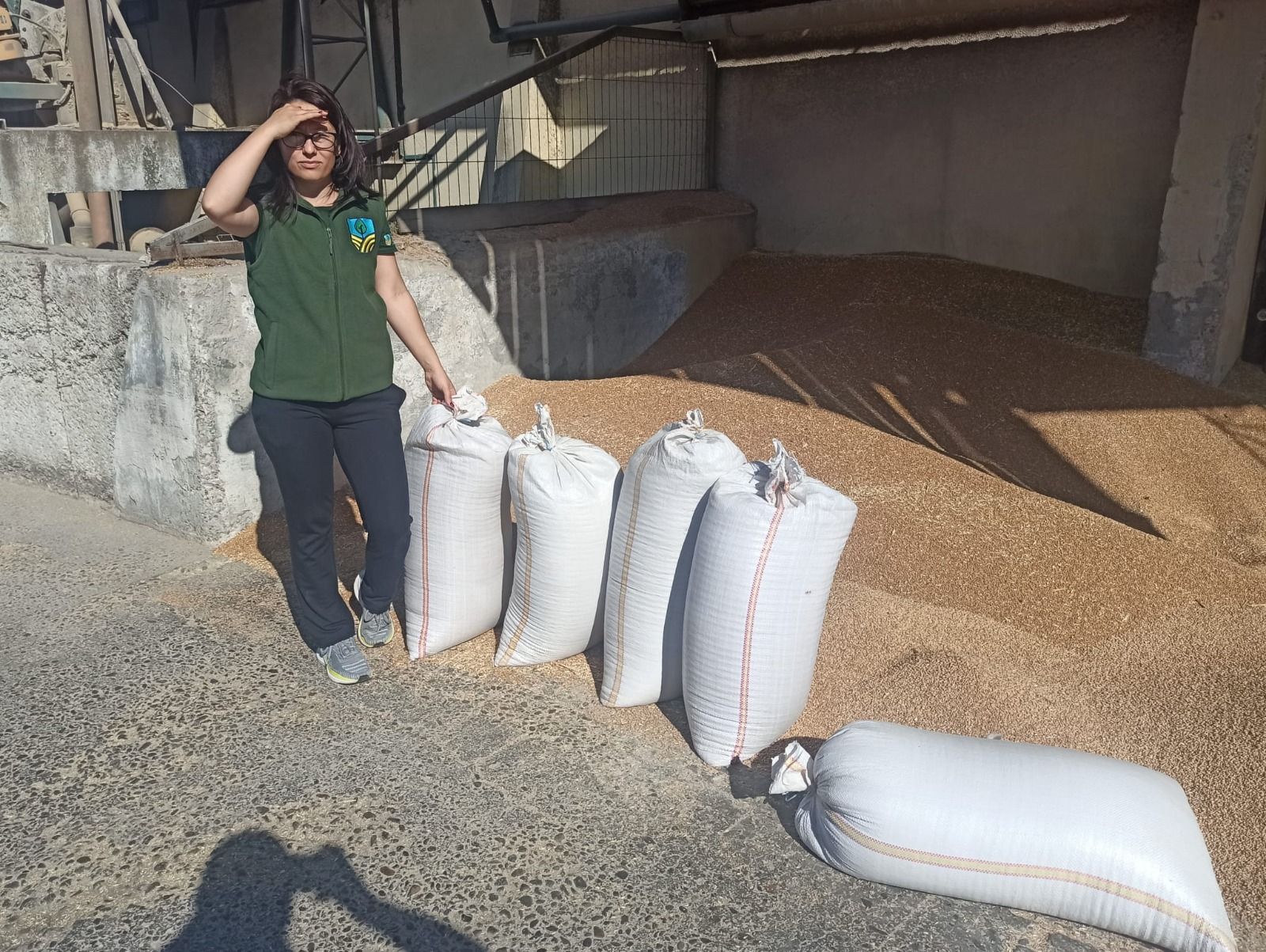 Vízhiány sújtja Szalonta és vidéke agráriumát