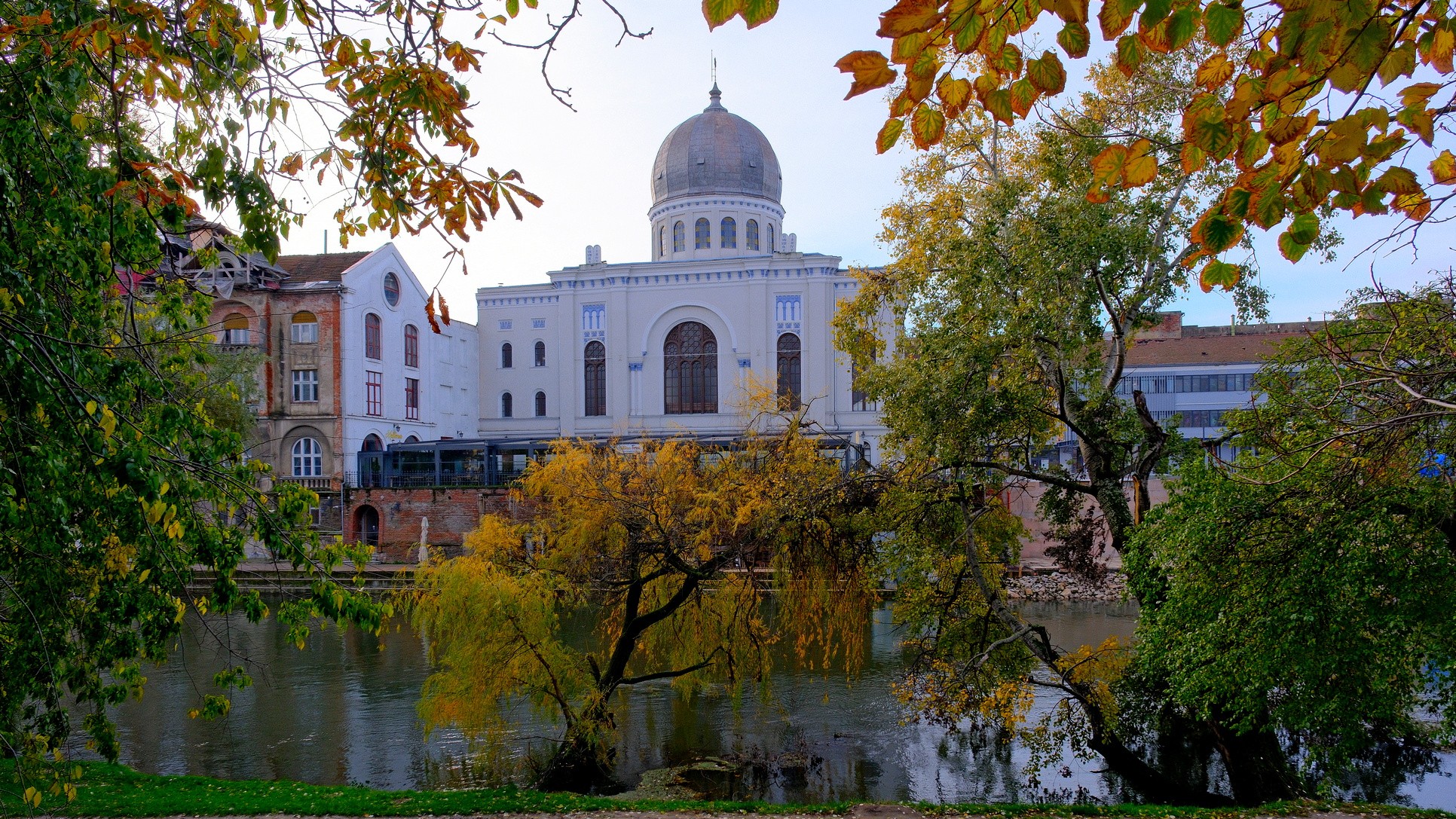 Maia Morgenstern is fellép a váradi Zsidó Kulturális Napokon